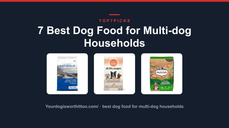 7 Best Dog Food for Multi-dog Households