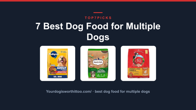 7 Best Dog Food for Multiple Dogs