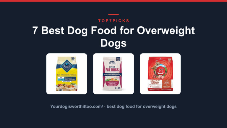 7 Best Dog Food for Overweight Dogs