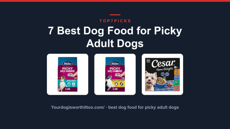 7 Best Dog Food for Picky Adult Dogs