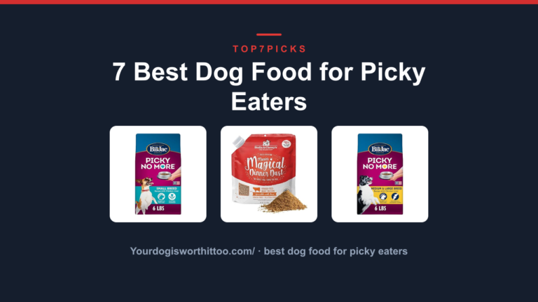 7 Best Dog Food for Picky Eaters