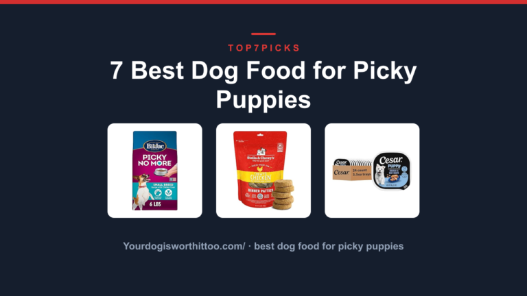 7 Best Dog Food for Picky Puppies