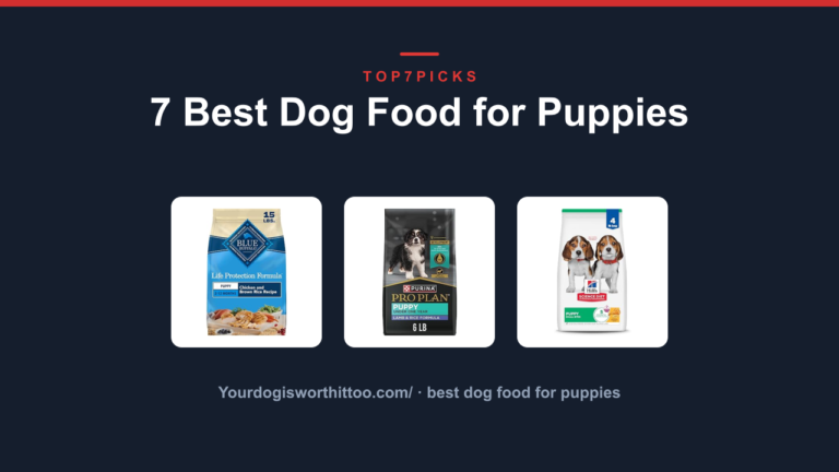 7 Best Dog Food for Puppies