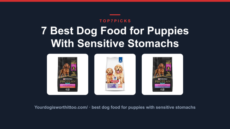 7 Best Dog Food for Puppies With Sensitive Stomachs
