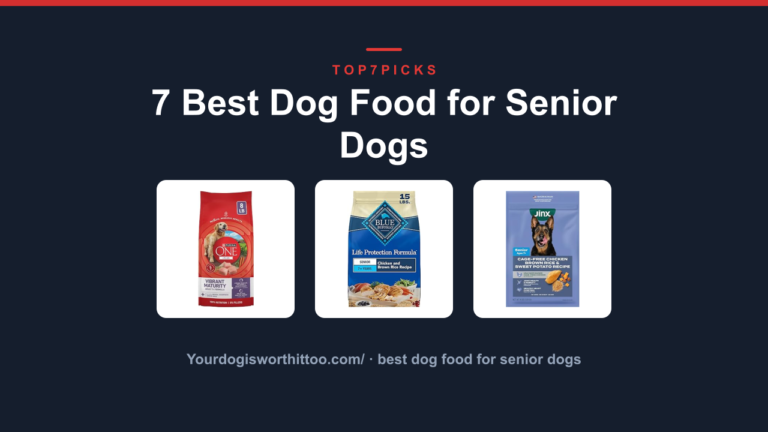 7 Best Dog Food for Senior Dogs