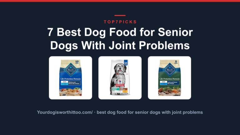 7 Best Dog Food for Senior Dogs With Joint Problems