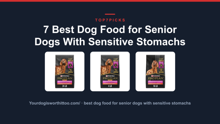 7 Best Dog Food for Senior Dogs With Sensitive Stomachs