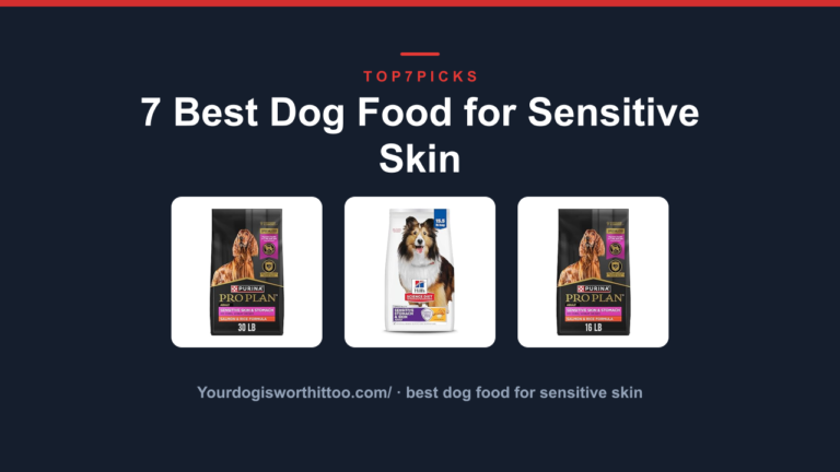 7 Best Dog Food for Sensitive Skin