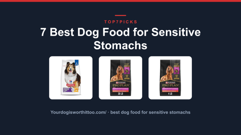 7 Best Dog Food for Sensitive Stomachs