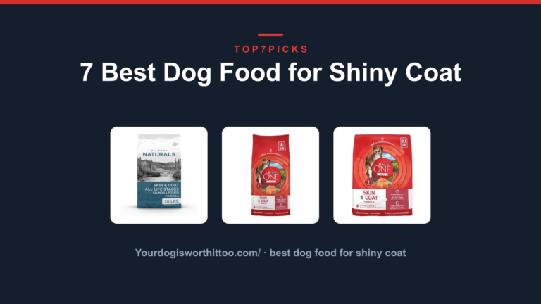 7 Best Dog Food for Shiny Coat