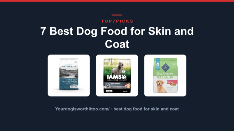 7 Best Dog Food for Skin and Coat