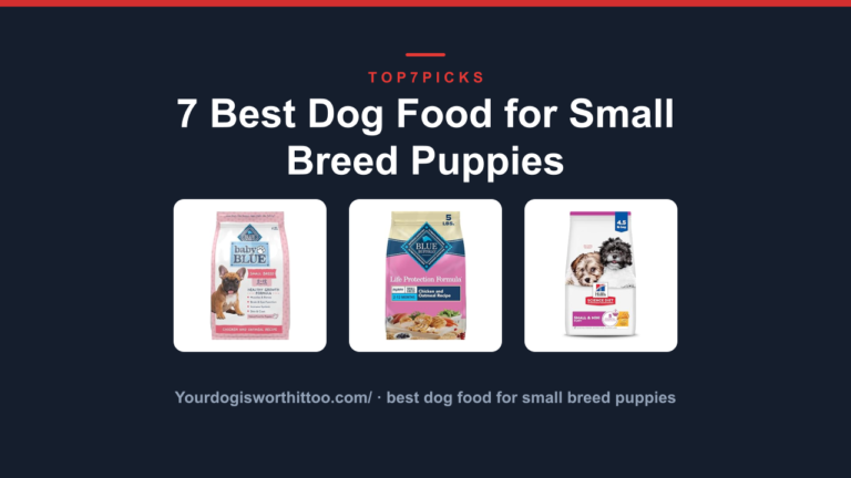 7 Best Dog Food for Small Breed Puppies