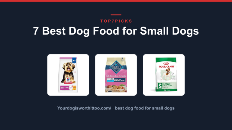 7 Best Dog Food for Small Dogs