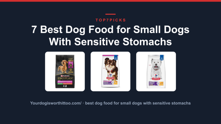 7 Best Dog Food for Small Dogs With Sensitive Stomachs