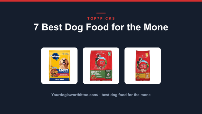 7 Best Dog Food for the Mone