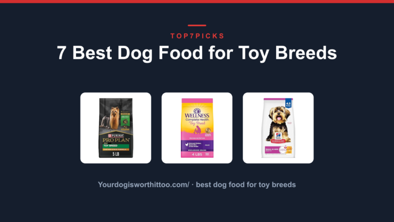 7 Best Dog Food for Toy Breeds
