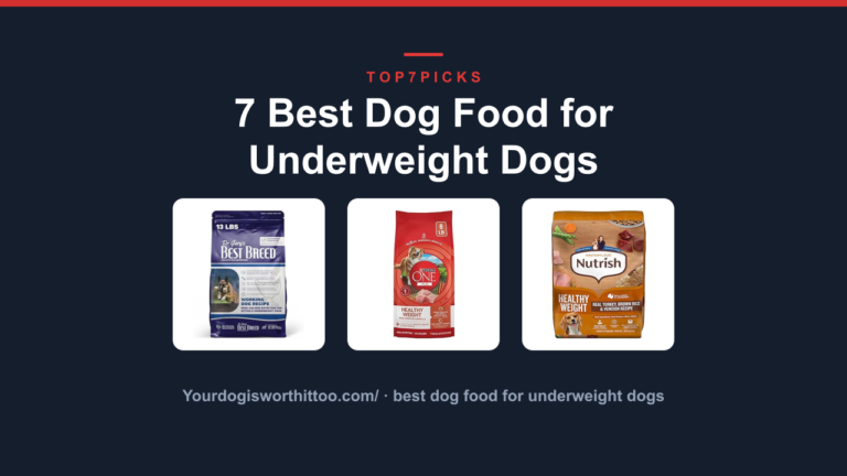 7 Best Dog Food for Underweight Dogs
