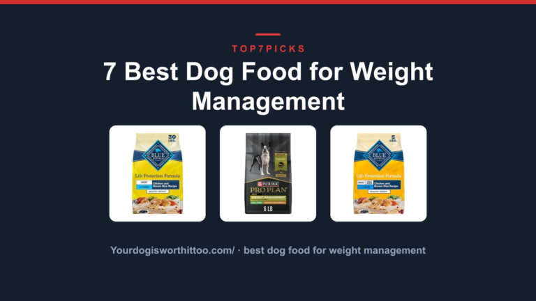 7 Best Dog Food for Weight Management