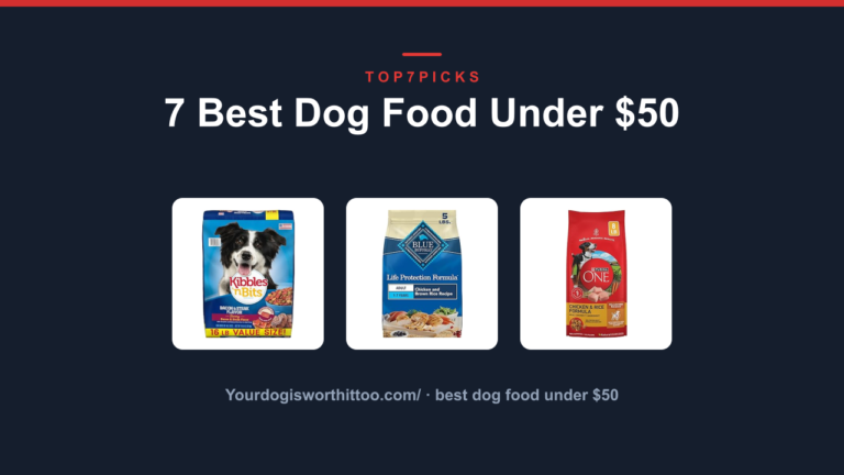 7 Best Dog Food Under $50