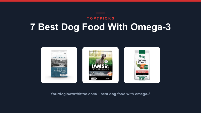 7 Best Dog Food With Omega-3