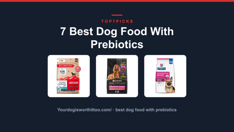 7 Best Dog Food With Prebiotics