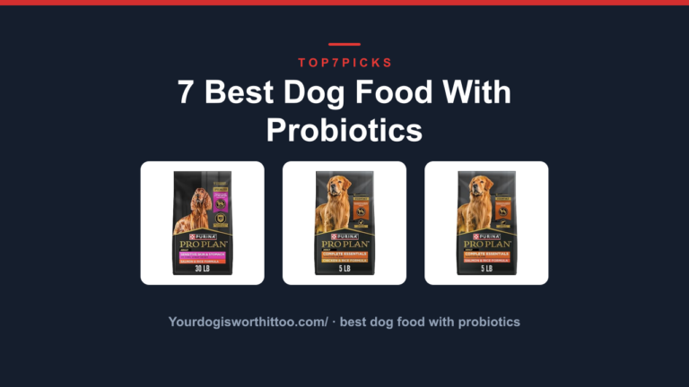 7 Best Dog Food With Probiotics