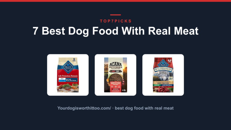 7 Best Dog Food With Real Meat