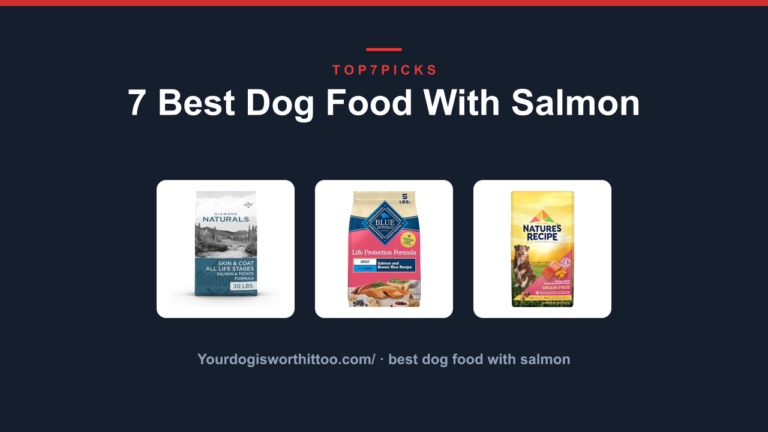 7 Best Dog Food With Salmon