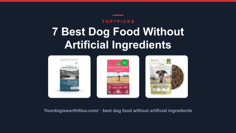 7 Best Dog Food Without Artificial Ingredients