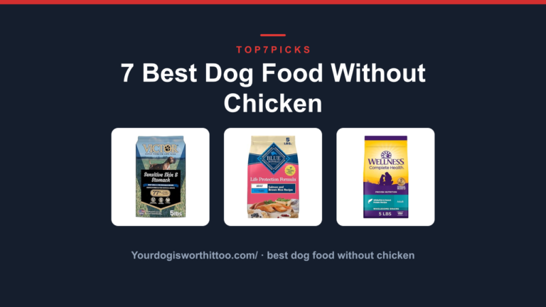 7 Best Dog Food Without Chicken