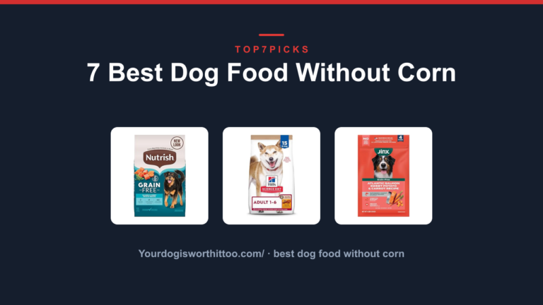 7 Best Dog Food Without Corn