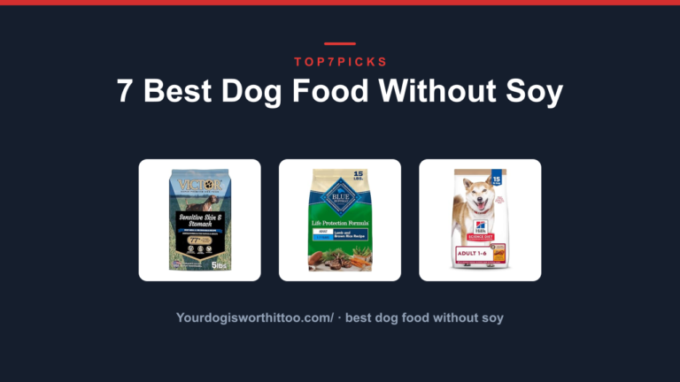 7 Best Dog Food Without Soy