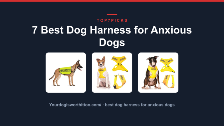 7 Best Dog Harness for Anxious Dogs