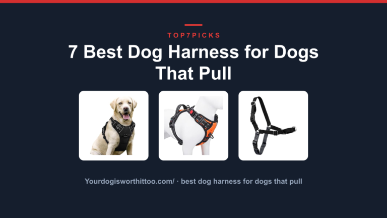 7 Best Dog Harness for Dogs That Pull