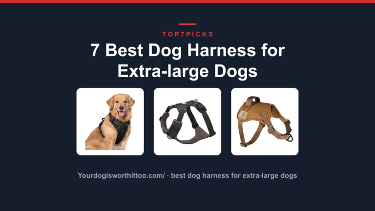 7 Best Dog Harness for Extra-large Dogs