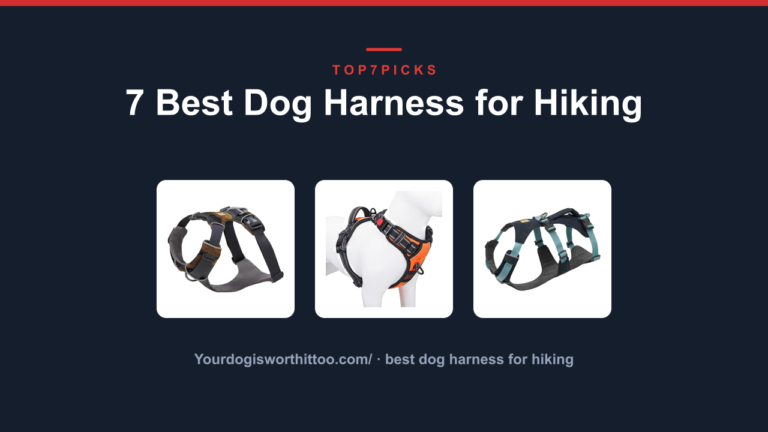 7 Best Dog Harness for Hiking