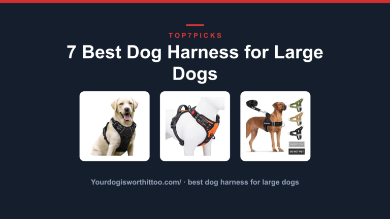 7 Best Dog Harness for Large Dogs
