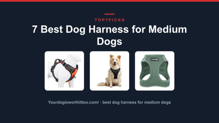 7 Best Dog Harness for Medium Dogs