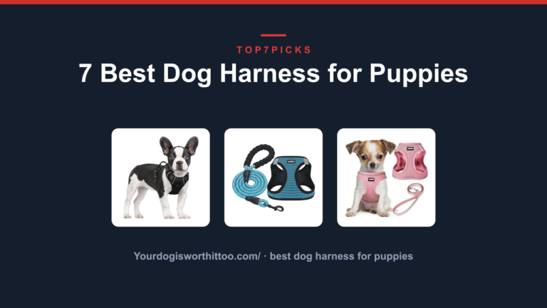 7 Best Dog Harness for Puppies