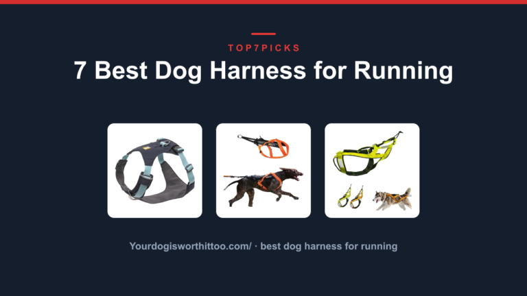 7 Best Dog Harness for Running