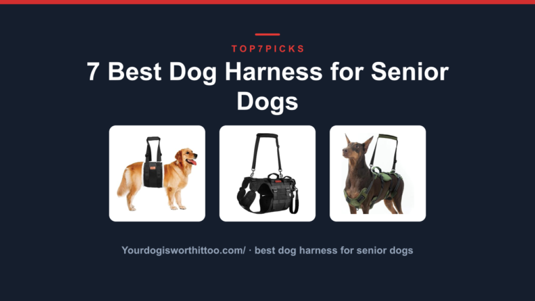 7 Best Dog Harness for Senior Dogs