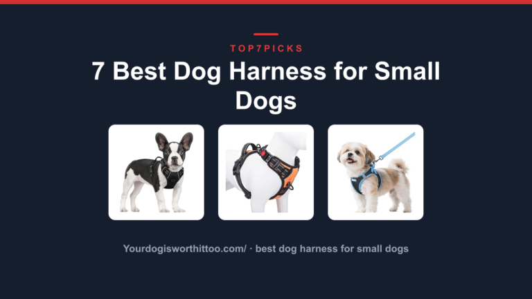 7 Best Dog Harness for Small Dogs