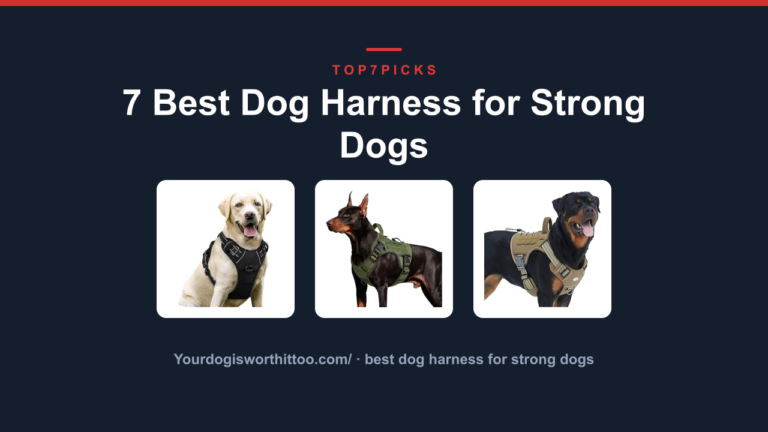 7 Best Dog Harness for Strong Dogs
