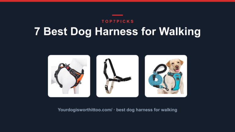7 Best Dog Harness for Walking
