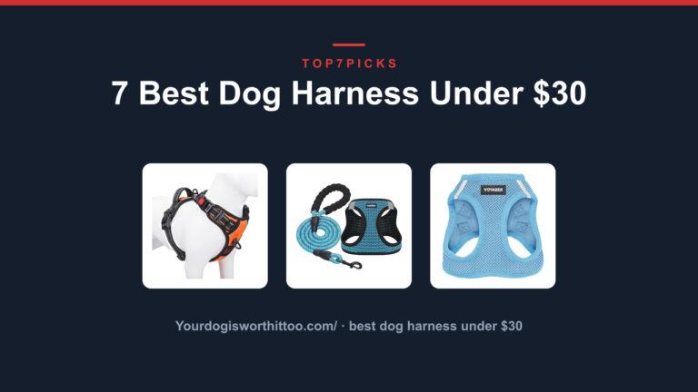 7 Best Dog Harness Under $30