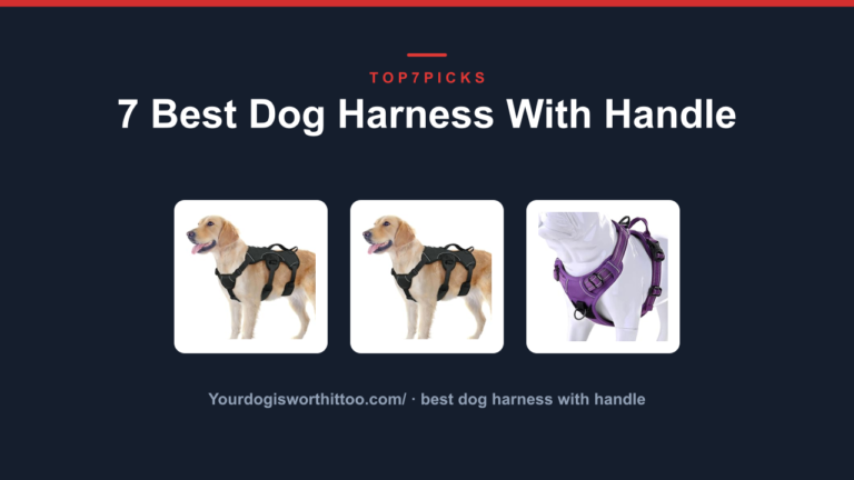 7 Best Dog Harness With Handle