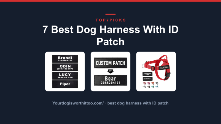 7 Best Dog Harness With ID Patch