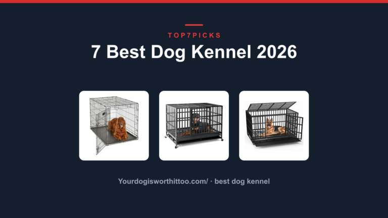 7 Best Dog Kennel 2026