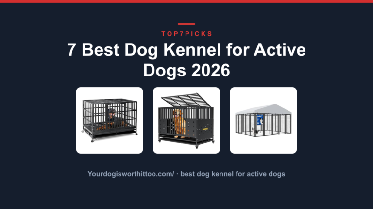 7 Best Dog Kennel for Active Dogs 2026