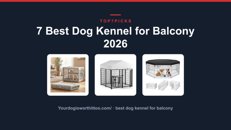 7 Best Dog Kennel for Balcony 2026